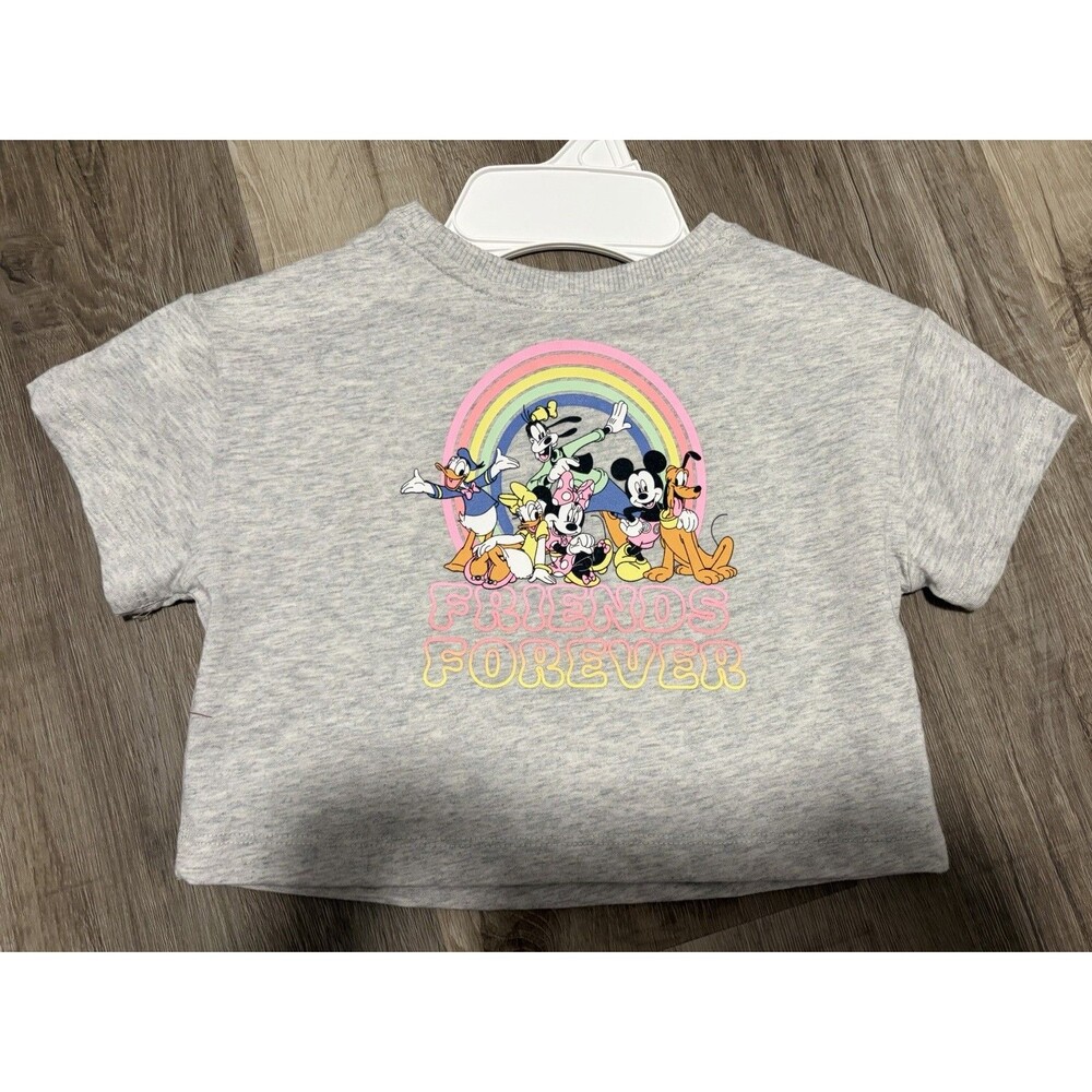 Girls Disney Gray Shirt Size 2T NWT